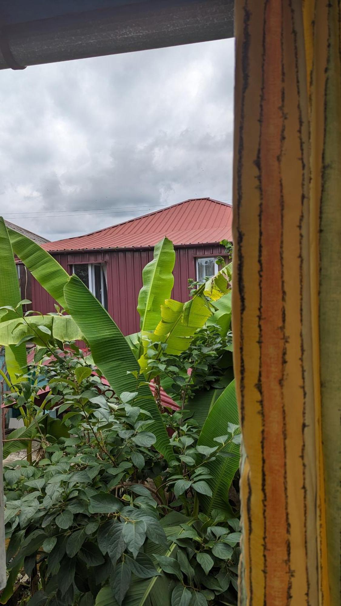 Mano'S Guest House Kobuleti Luaran gambar